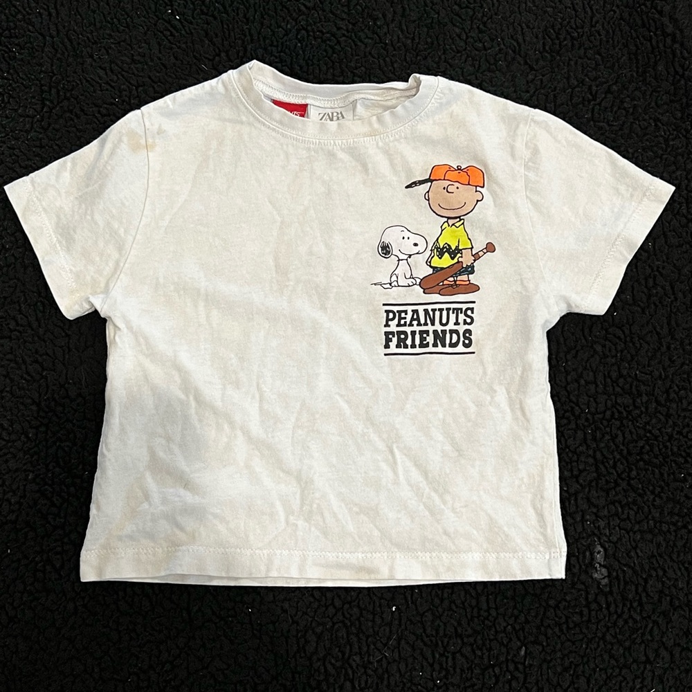 Zara shirt